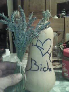 Elyan Rencontre bdsm Alten