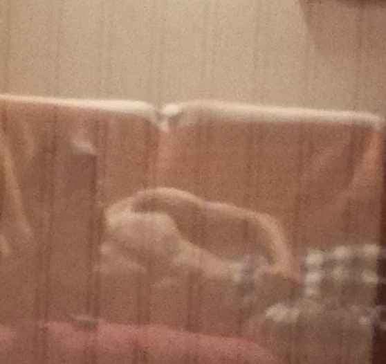 Profil de Christophe, 44 ans, Rencontre BDSM à Trey (Vaud)