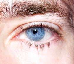 Profil de Kelyan, 39 ans, Rencontre BDSM à Steg VS (Valais)