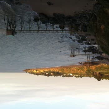 Divine Rencontre bdsm Salquenen